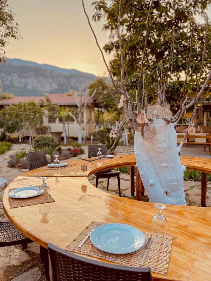 Oase Garden Hotel Çıralı エクステリア 写真
